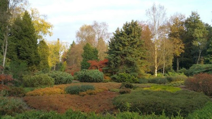 Von Gimborn Arboretum, Netherlands